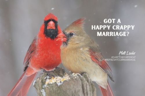 The Happy Crappy Marriage